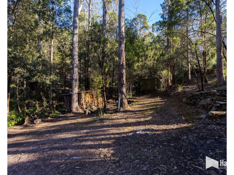 65 Durkins Road, Quoiba TAS 7310