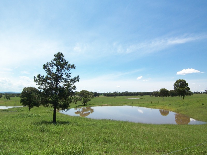 135 Turner Road, Currans Hill NSW 2567