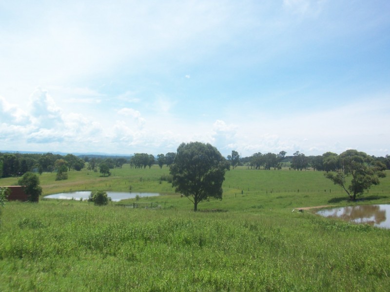 135 Turner Road, Currans Hill NSW 2567