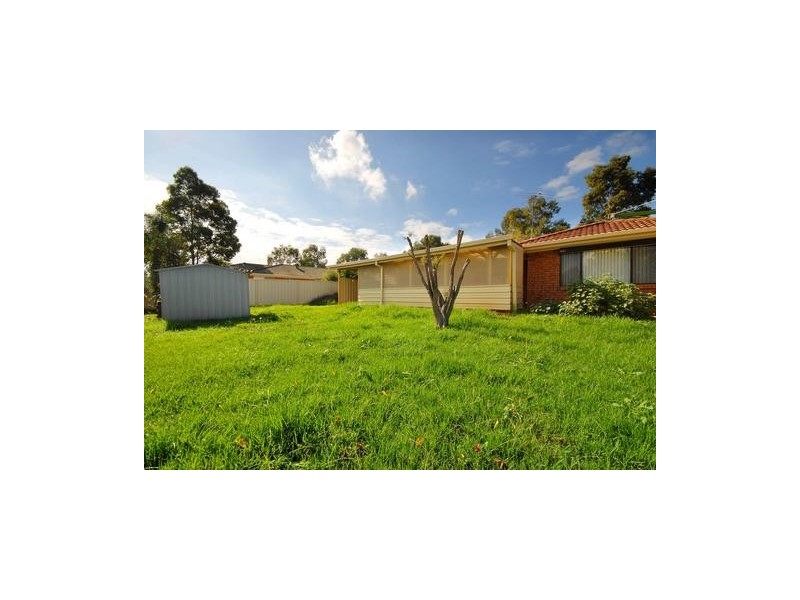 3 Cross Place, Mount Annan NSW 2567