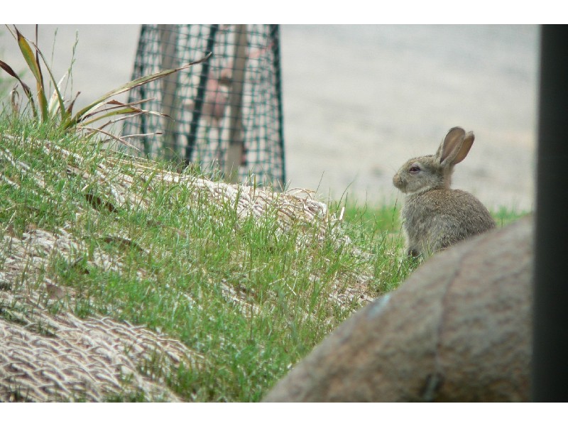 13a Stockwhip Way, Crackenback NSW 2627