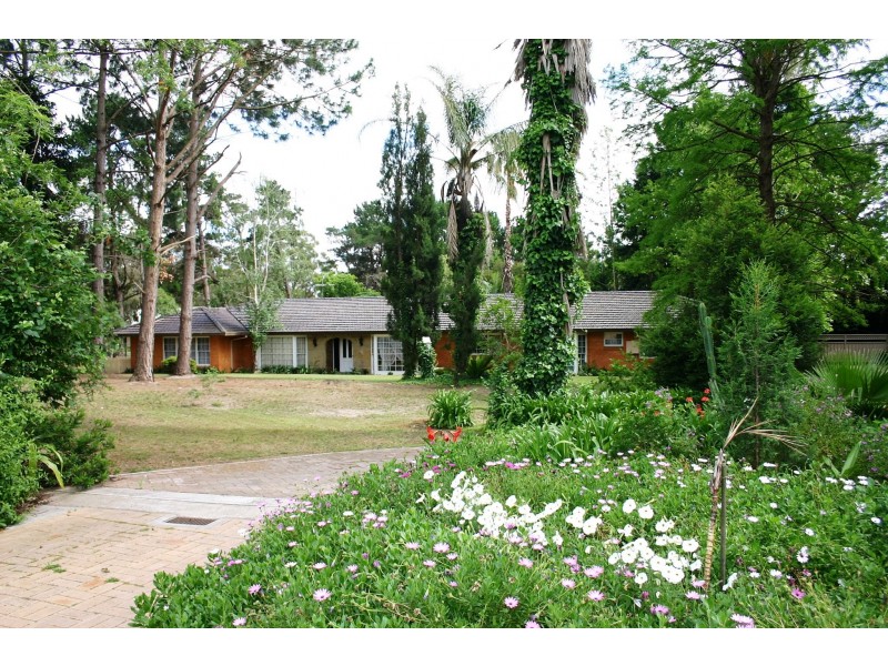 287 Cobbitty Road, Cobbitty NSW 2570