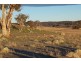 25 Gungarlin Road, Berridale NSW 2628