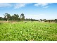 15 Steveys Forest Road, Oakdale NSW 2570