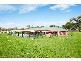 15 Steveys Forest Road, Oakdale NSW 2570