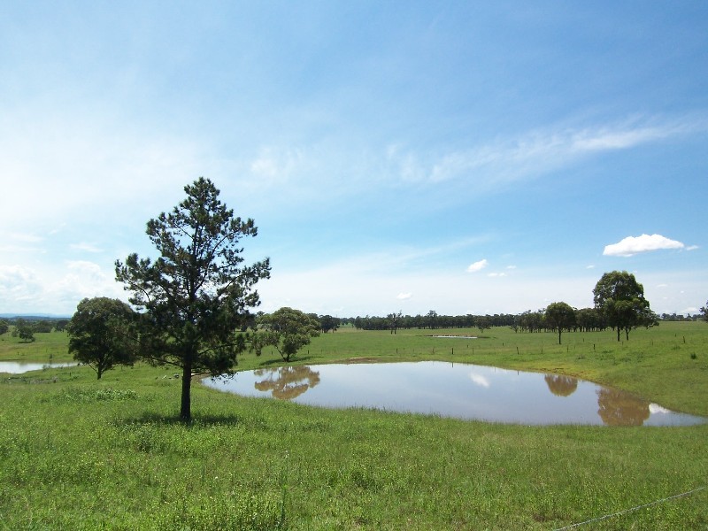 135 Turner Road, Currans Hill NSW 2567