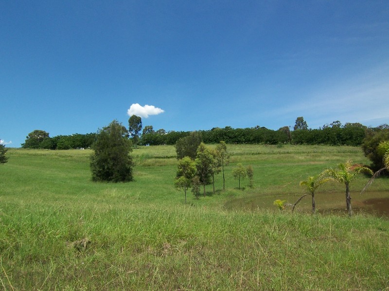 135 Turner Road, Currans Hill NSW 2567