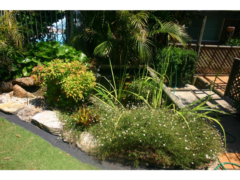 21 Packenham Place, Mount Annan NSW 2567