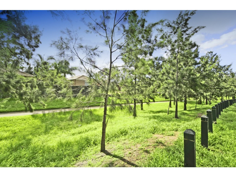 25 Tuart Circuit, Narellan Vale NSW 2567