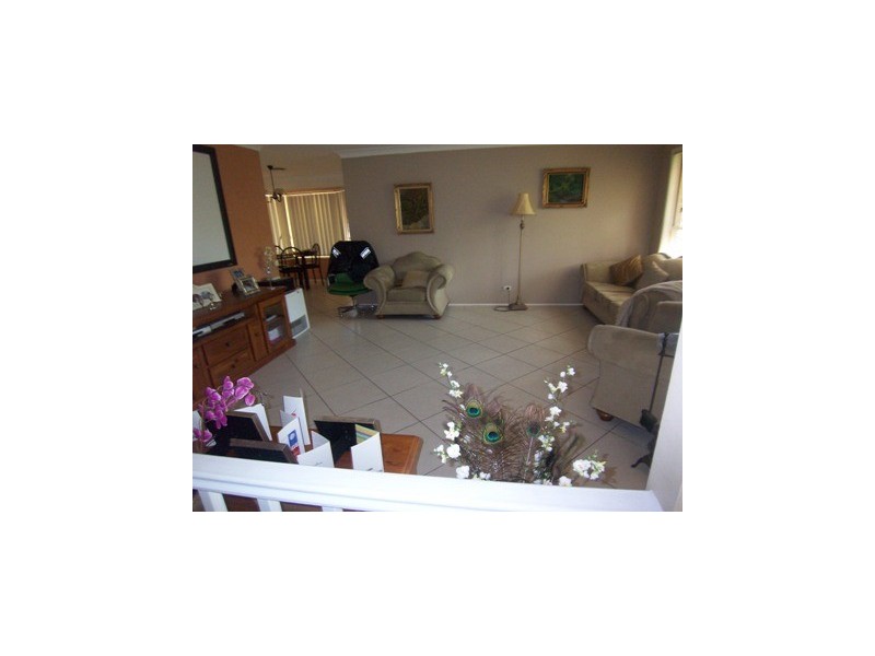 31 Plane Tree Drive, Narellan Vale NSW 2567