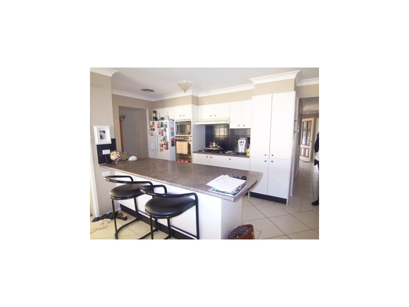 31 Plane Tree Drive, Narellan Vale NSW 2567