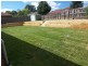31 Plane Tree Drive, Narellan Vale NSW 2567