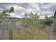 35 William Campbell Ave, Harrington Park NSW 2567