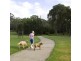 Lot 2226 Belmont Ave, Spring Farm NSW 2570