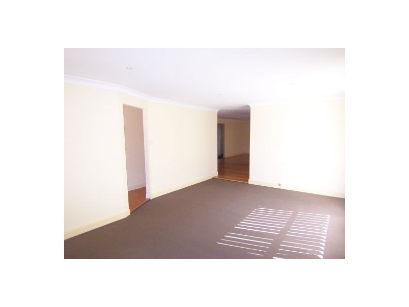 228 Turner Road, Currans Hill NSW 2567