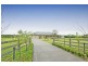 887 Mt Hercules Road, Razorback NSW 2571
