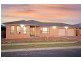 7 Dewpoint Drive, Spring Farm NSW 2570