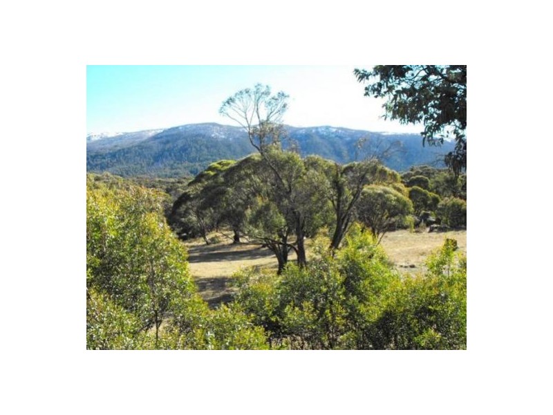 9 Little Thredbo Road, Crackenback NSW 2627