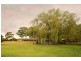 9 Tarcoola Place, Ellis Lane NSW 2570