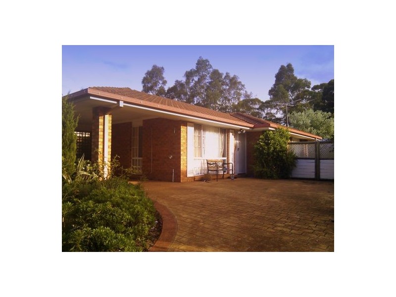 41 Paddymiller Avenue, Currans Hill NSW 2567