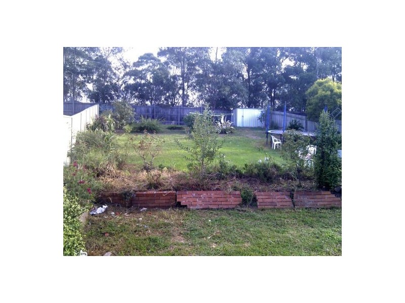 41 Paddymiller Avenue, Currans Hill NSW 2567
