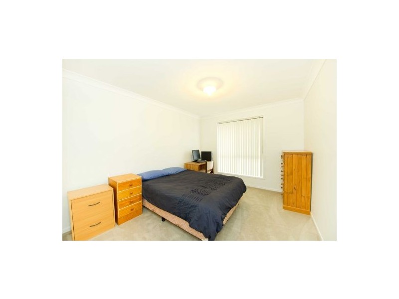 19 Maran Street, Spring Farm NSW 2570