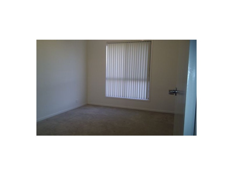 19 Maran Street, Spring Farm NSW 2570