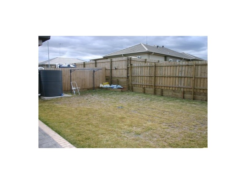 16 Delaware Street, Spring Farm NSW 2570