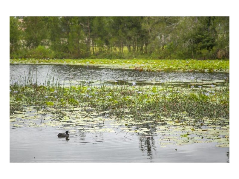 6 Lake Court, Urunga NSW 2455