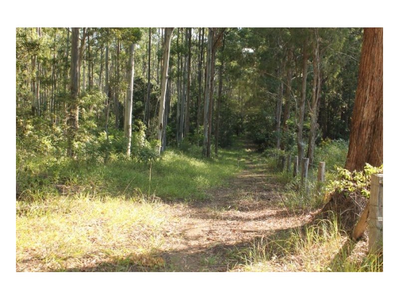 Lot 26 Mimiwali Drive, Bonville NSW 2441