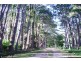 301a SOUTH BOAMBEE ROAD, Sawtell NSW 2452