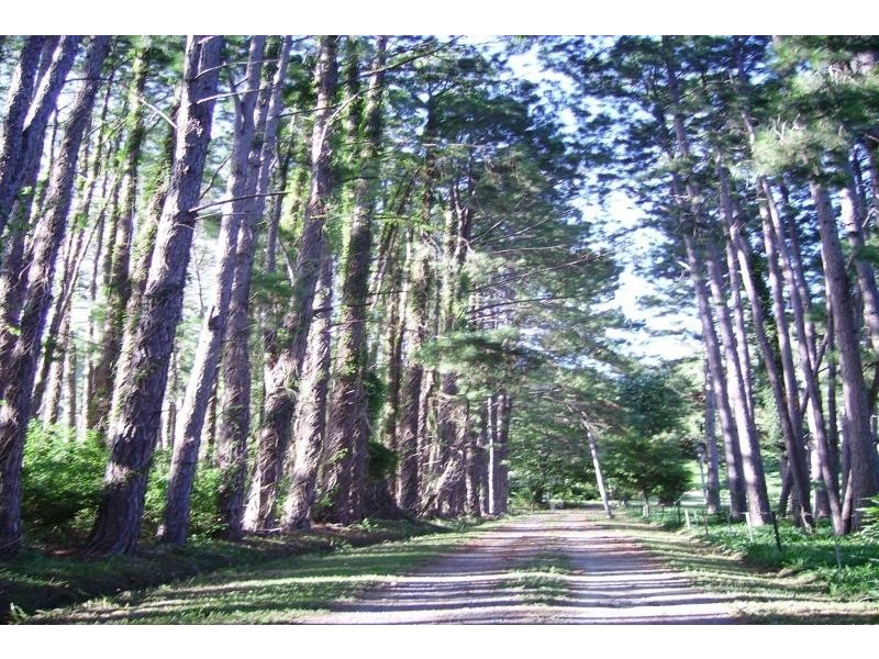 301a SOUTH BOAMBEE ROAD, Sawtell NSW 2452