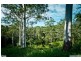 61A Scotchman Road, Bellingen NSW 2454