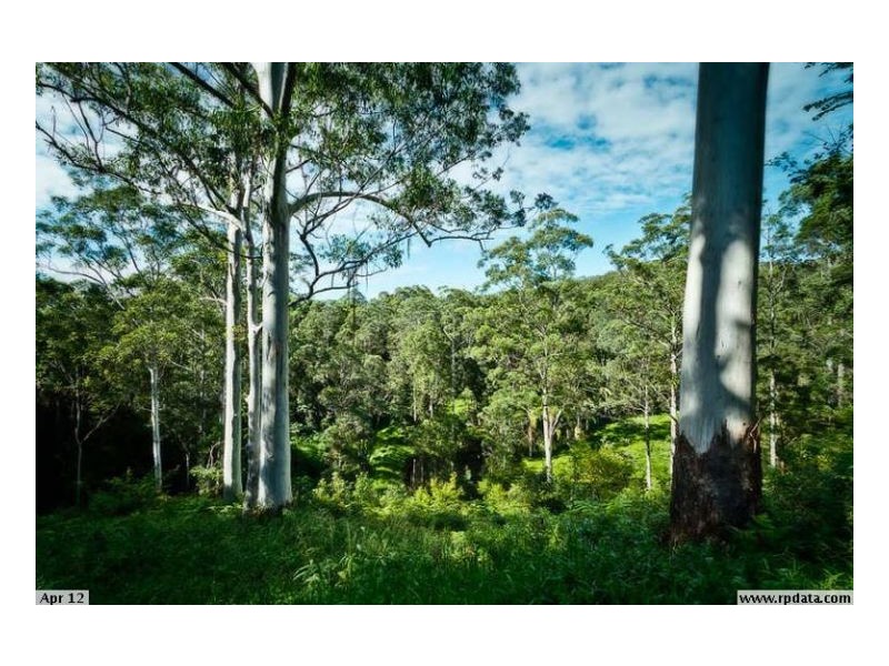 61A Scotchman Road, Bellingen NSW 2454