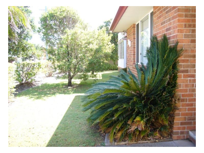 1/88 First Avenue, Sawtell NSW 2452