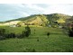 50 Bennetts Road, Coffs Harbour NSW 2450