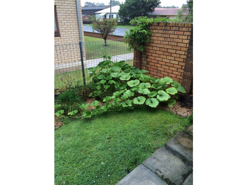 1/6 Elizabeth Street, Sawtell NSW 2452