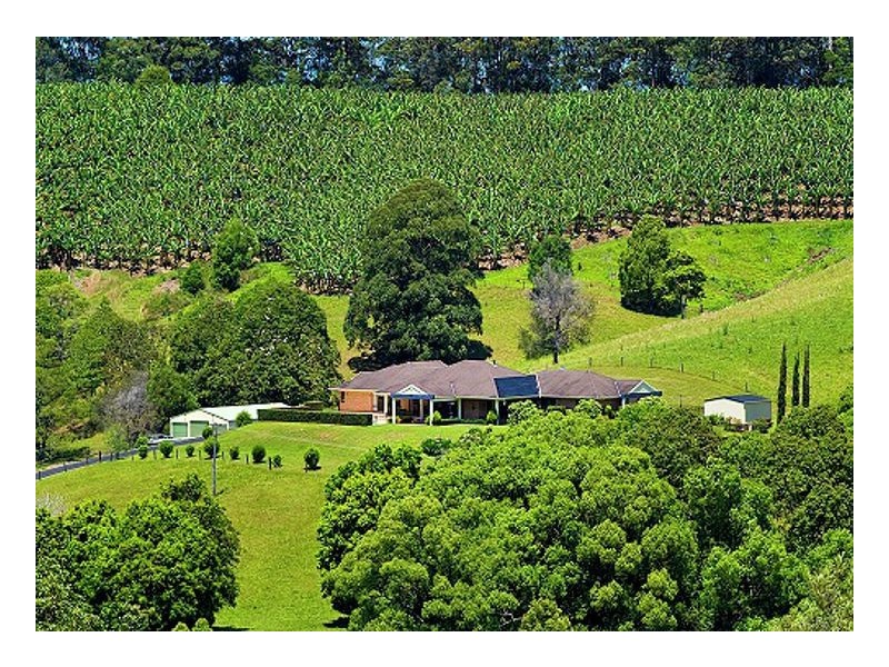 219 Cassidys Road, Bonville NSW 2441