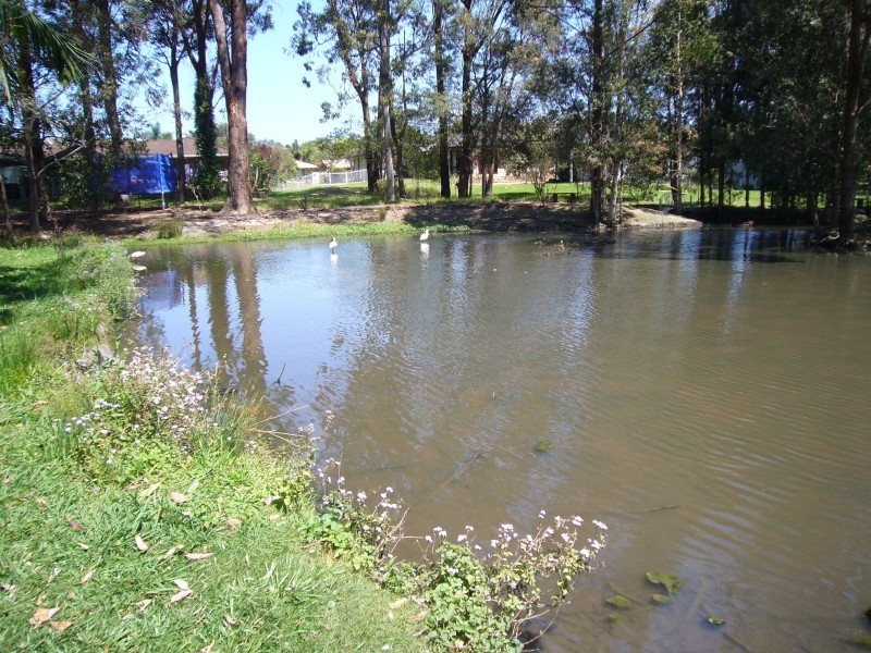 Boambee East NSW 2452