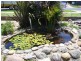 Sawtell NSW 2452