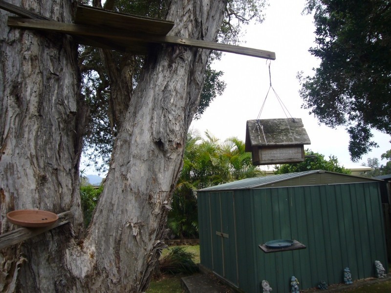 155 FIRST AVENUE, Sawtell NSW 2452