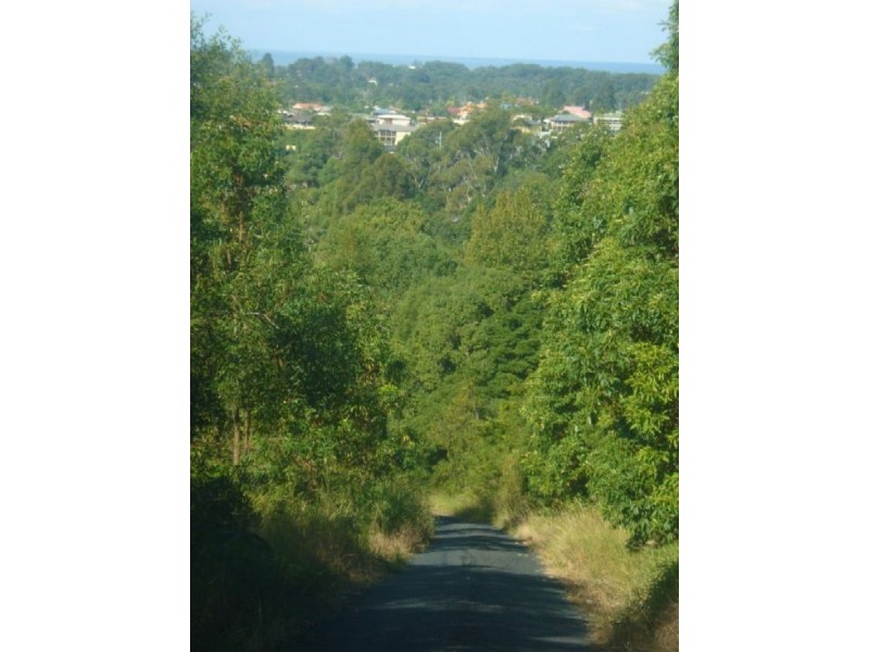 51 Strouds Road, Bonville NSW 2441