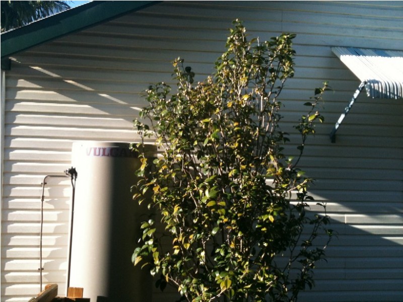 9 NINETEENTH AVENUE, Sawtell NSW 2452