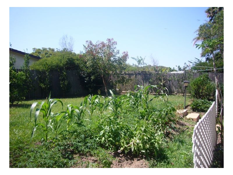 23 Bower Crescent, Toormina NSW 2452