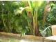 106 LYONS ROAD, Sawtell NSW 2452