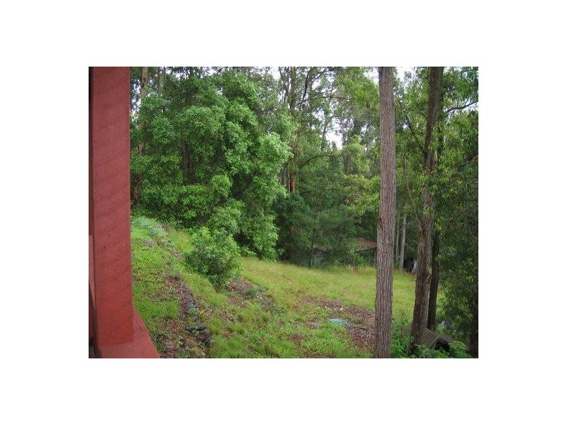 89 SCOTCHMAN ROAD, Bellingen NSW 2454