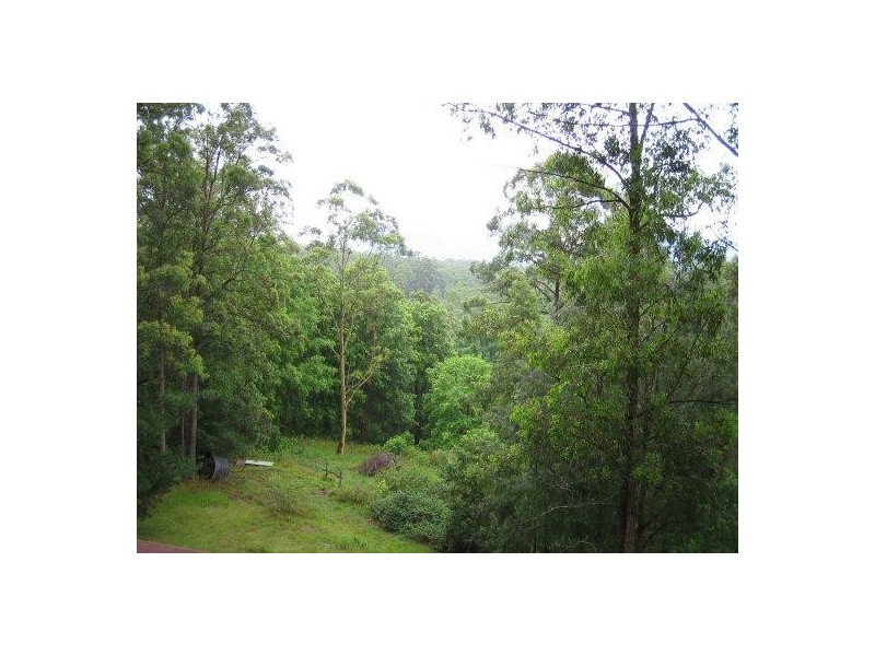 89 SCOTCHMAN ROAD, Bellingen NSW 2454