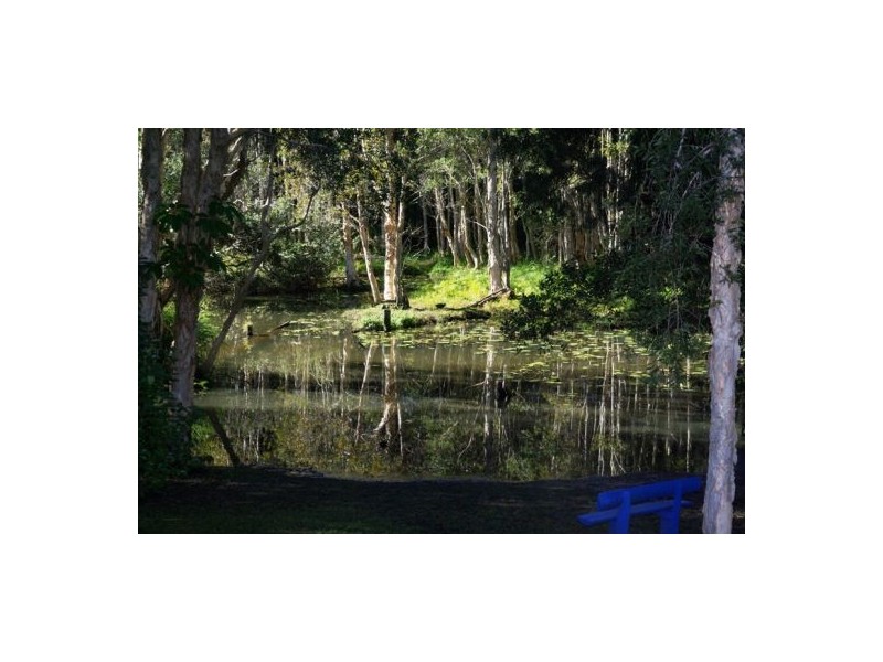 17 KESTREL PLACE, Boambee East NSW 2452