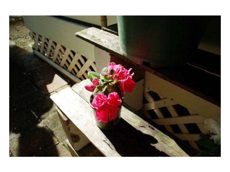 LOT 15 Sawtell Beach Holiday Park, Sawtell NSW 2452