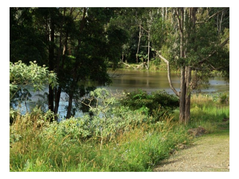 67 Kinchela Avenue, Boambee East NSW 2452